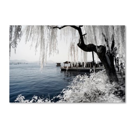 Philippe Hugonnard 'Lake Winter' Canvas Art,30x47